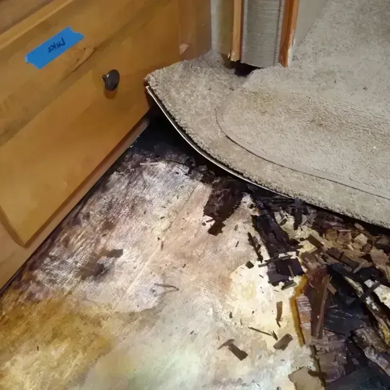 Wood Floor Water Damage in Samson, AL